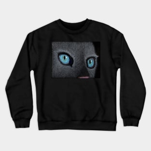 Blue eyed grey cat Crewneck Sweatshirt